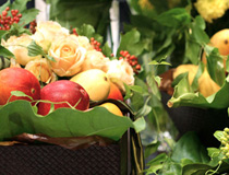 SUN FRUITS