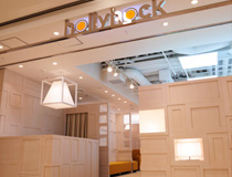 photostudio hollyhock