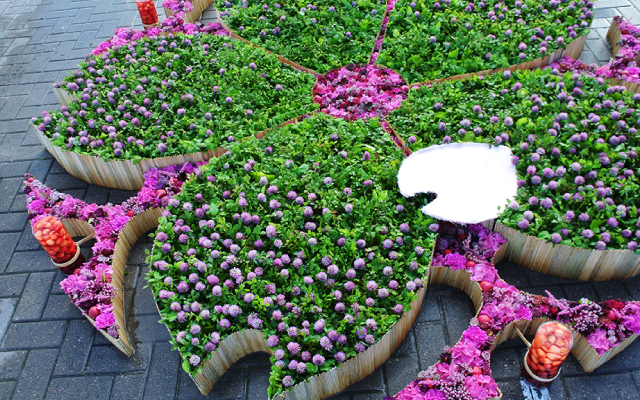 Flower Carpet in Tokyo Midtown メインビジュアル