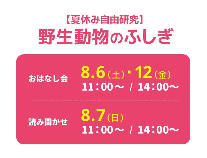 【夏休み自由研究】野生動物のふしぎ　　8.6（土）・12（金）　11：00～/14：00