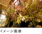 正月装飾