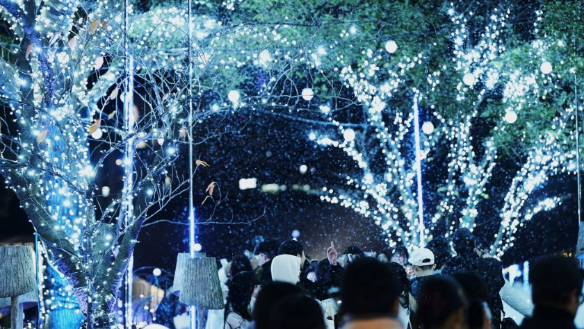 幻想的な雪景色を思わせる