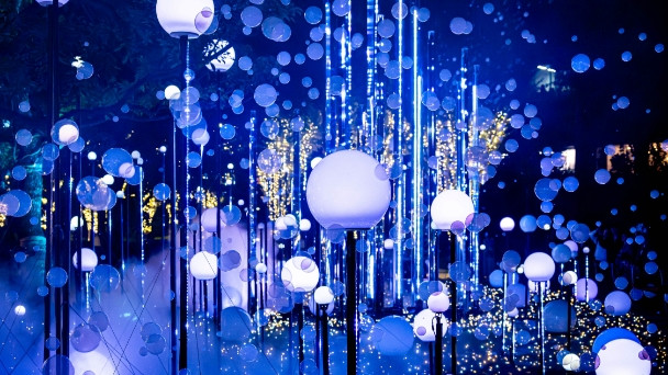 CHRISTMAS GARDEN LIGHTS