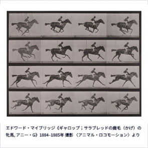 フジフイルム スクエア 写真歴史博物館 企画写真展 <br>動画の原点『アニマル・ロコモーション』<br> 「連続写真に取り憑かれた男 エドワード・マイブリッジ」