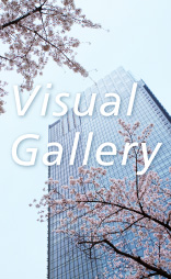 visual gallery