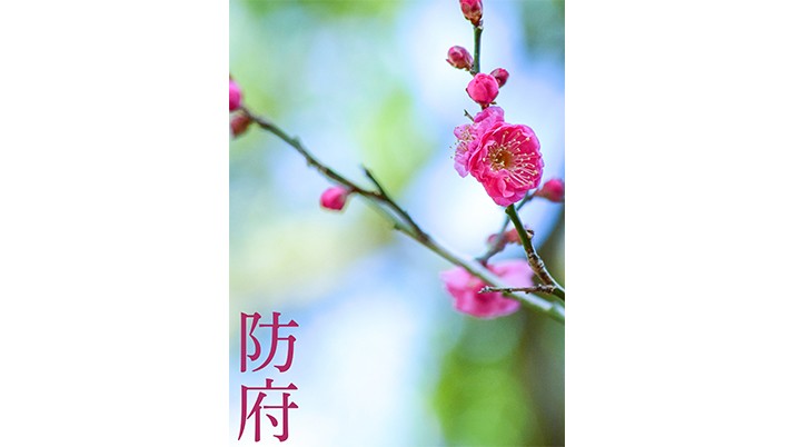 THE COVER NIPPON 「防府展」