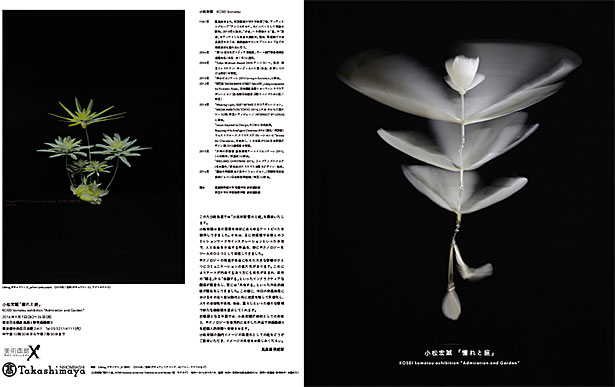小松宏誠 個展「憧れと庭」