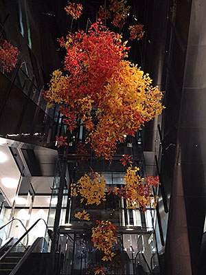 Dance as fall