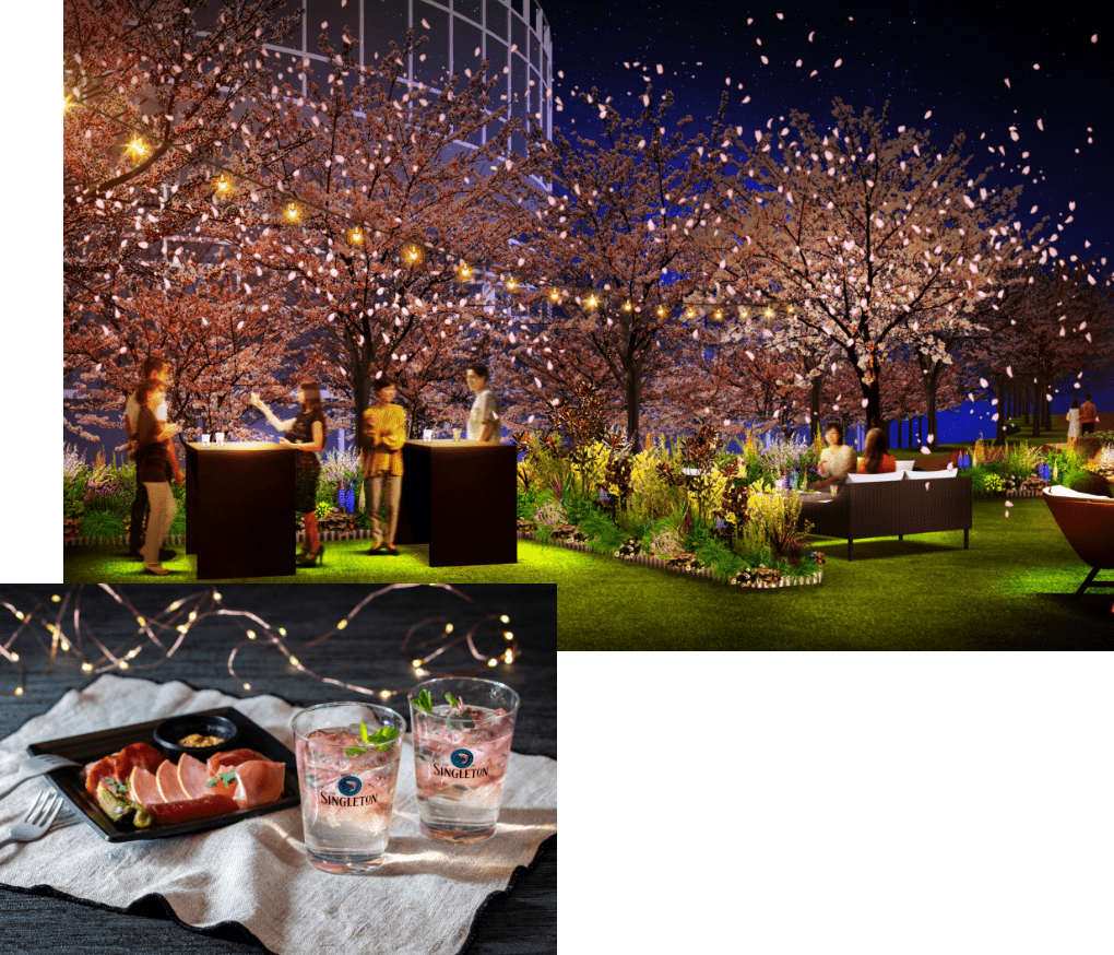 Enjoy a lovely time with fantastic nighttime cherry blossoms and warm lights that faintly glow in the dark