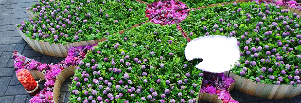 flower carpet in tokyomidtown midtown blossom 2016 東京ミッドタウン