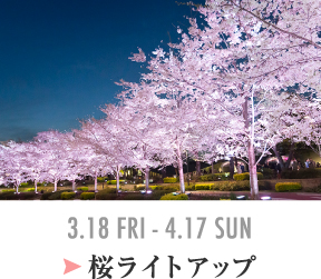 桜ライトアップ 3.18 FRI-4.17 SUN