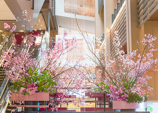 Spring Flower Display