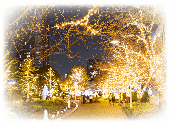 Garden Illumination