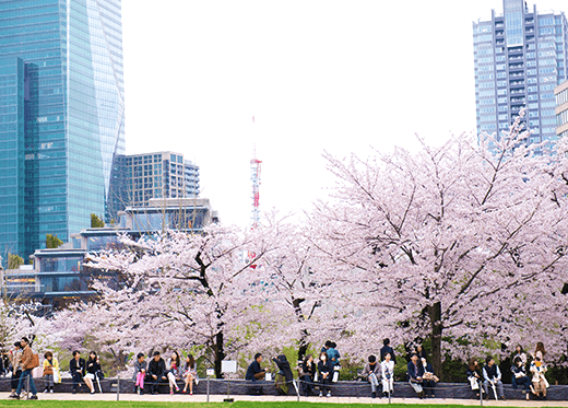 芝生公園