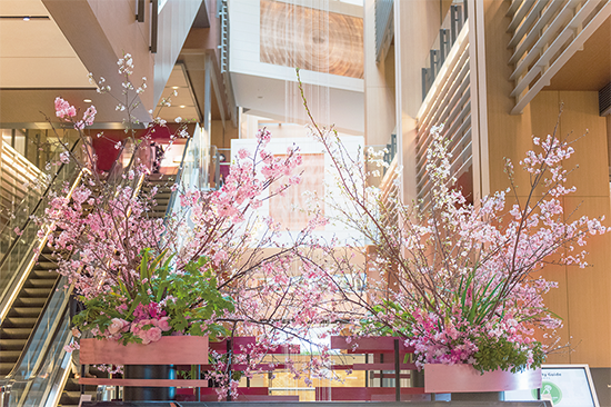 Spring Flower Display | TOKYO MIDTOWN BLOSSOM 2019 | 東京ミッドタウン