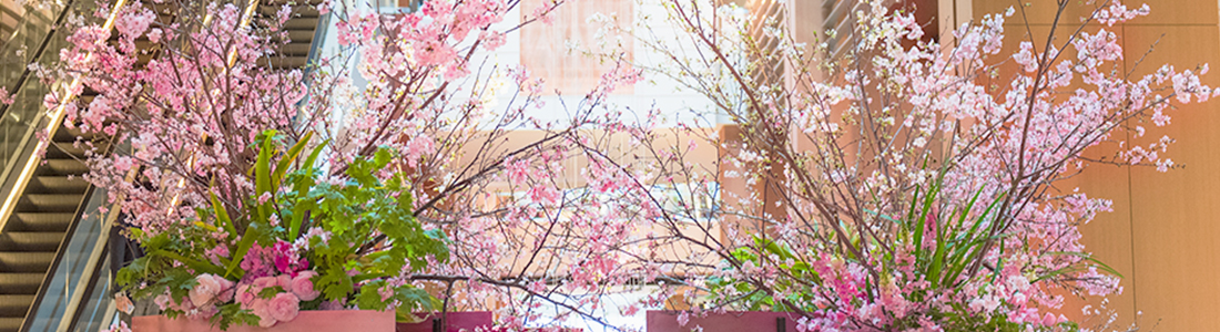 Spring Flower Display | TOKYO MIDTOWN BLOSSOM 2019 | 東京ミッドタウン