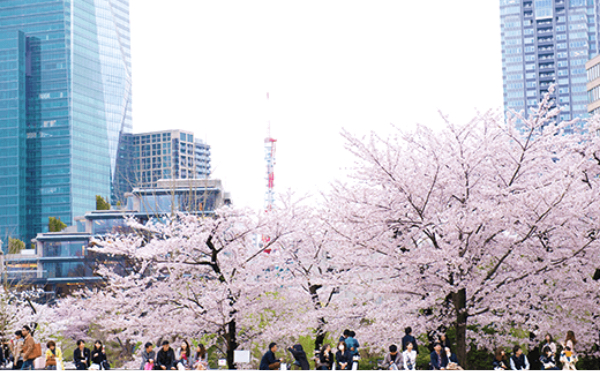 E 芝生広場