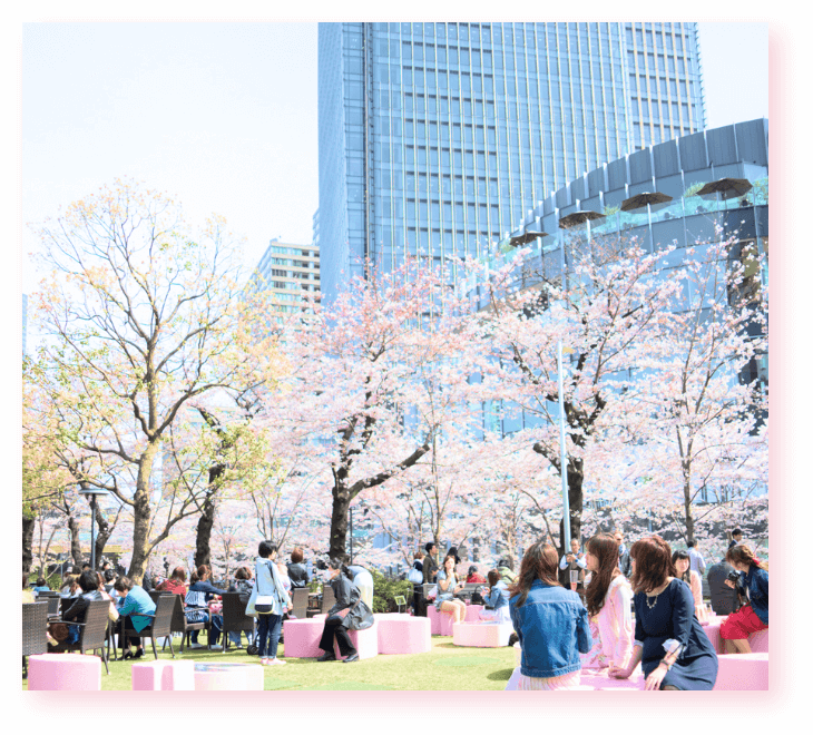 The best seats to enjoy spring