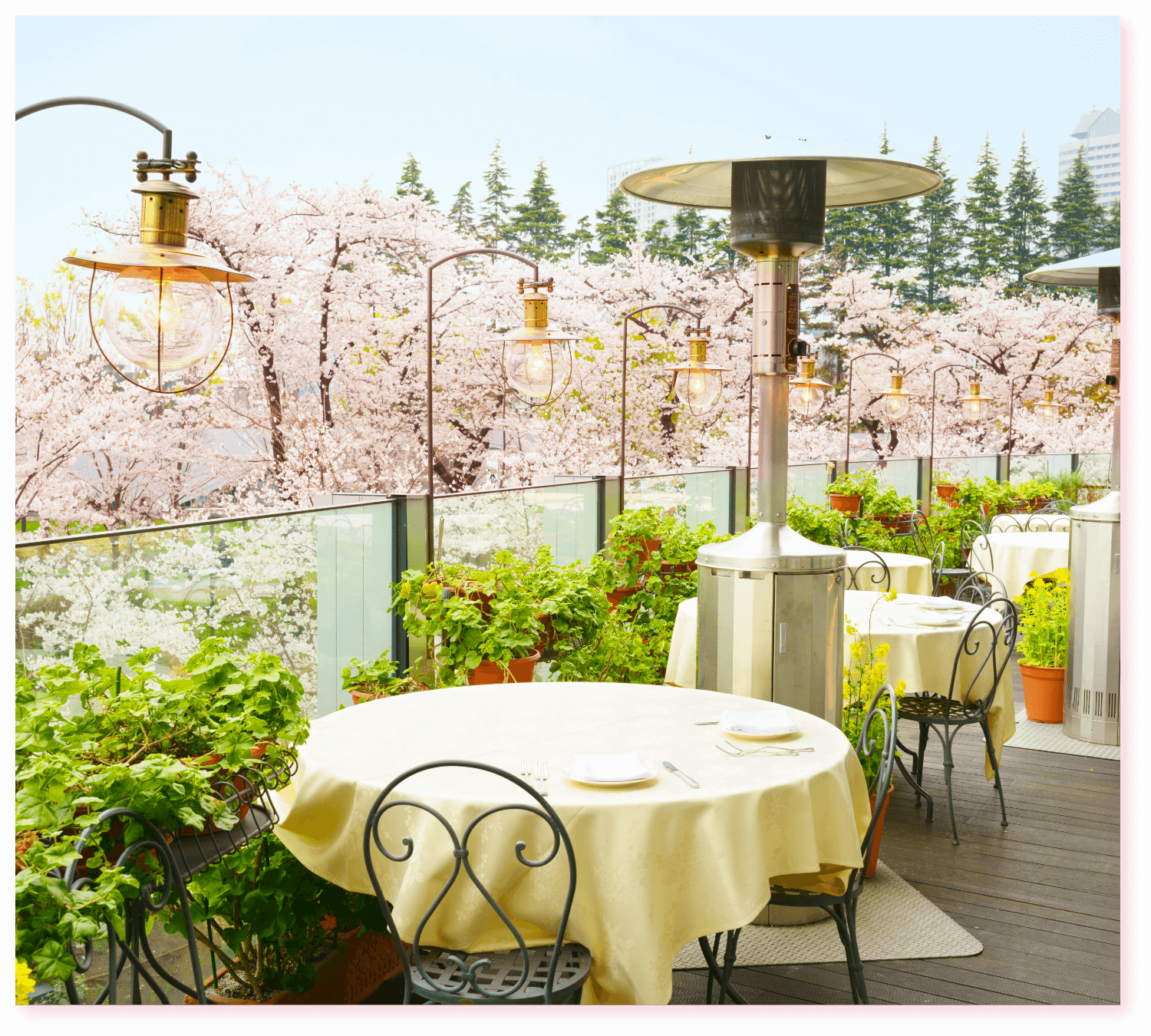 桜が見えるレストラン