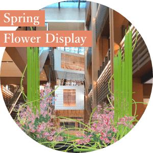 Spring Flower Display