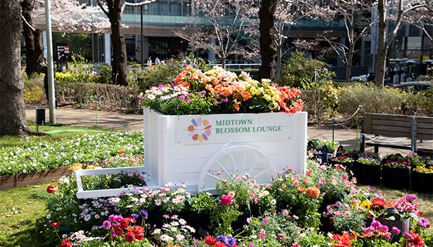 春色に染まる花のワゴンのフォトスポット