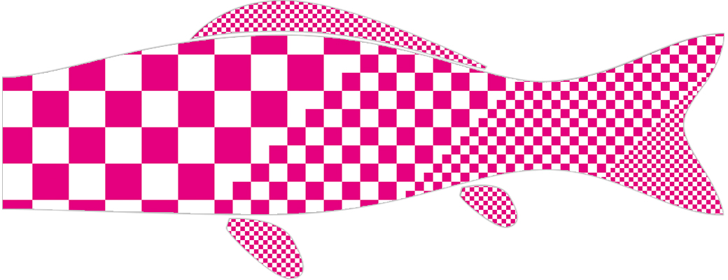 Koichimatsu