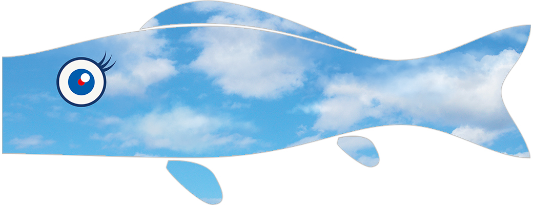 Koinobori (carp streamer) synchronized with the blue sky