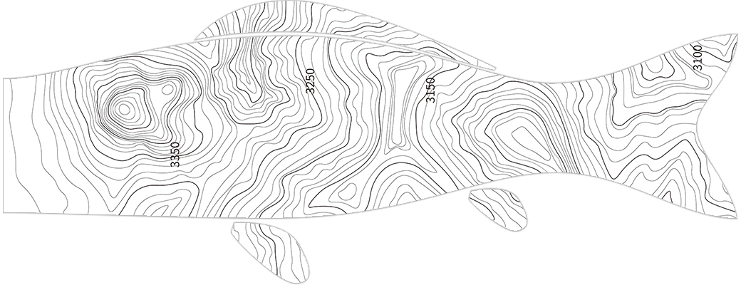 Contour Carp