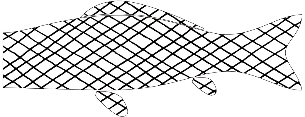 Aminobori