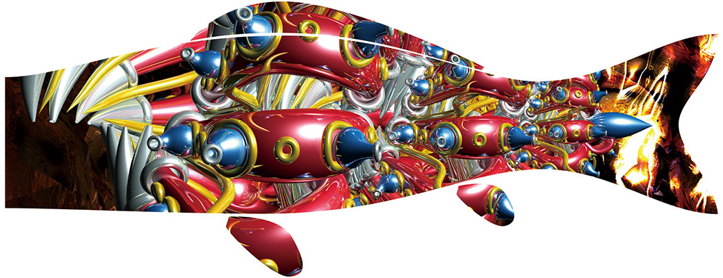 Cosmic shell Shecco.