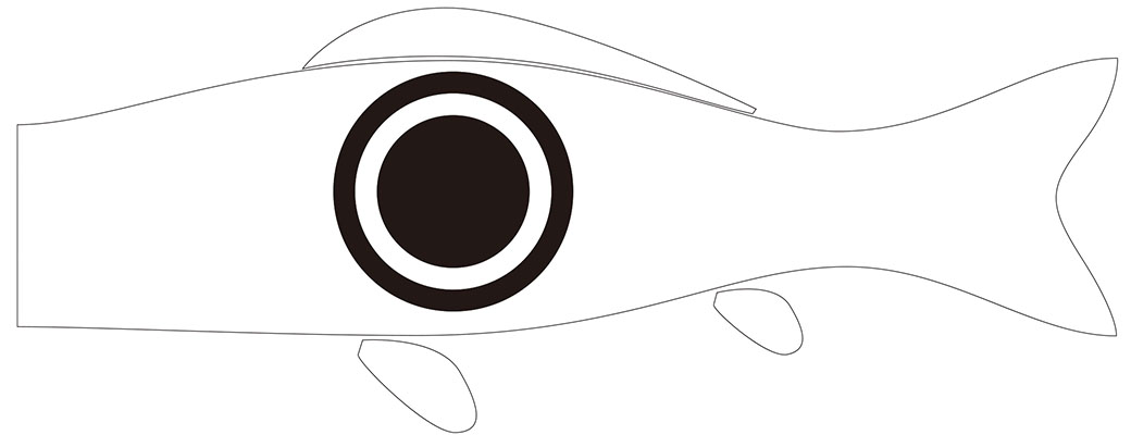 Fisheye