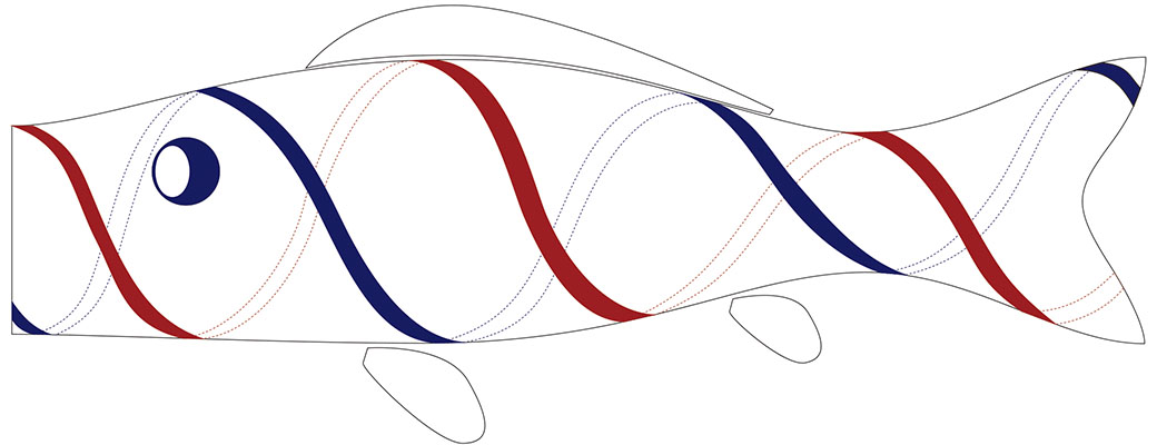 Double Helix Koinobori