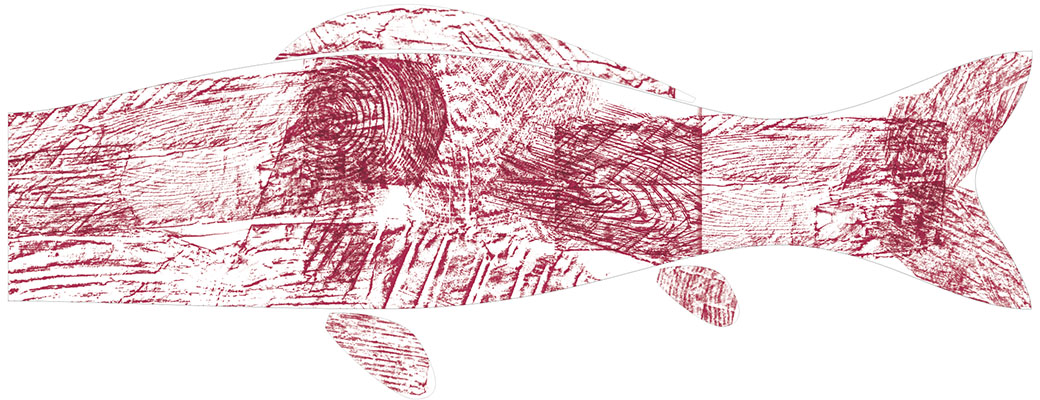 KOBOKU FISH