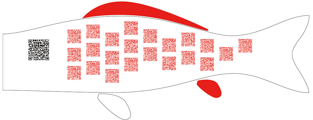 Fortune  QR  streamer