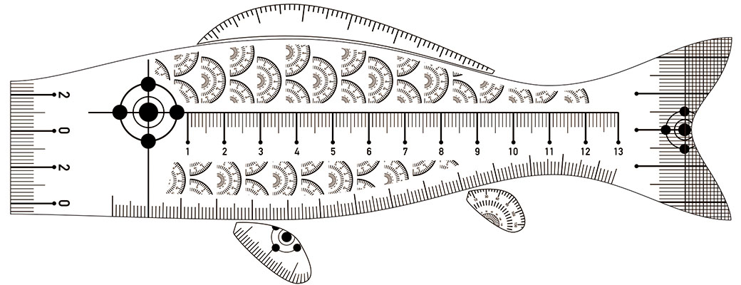 Major Measuring Koinobori