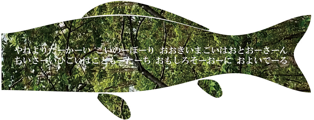 Disappearing Koinobori
