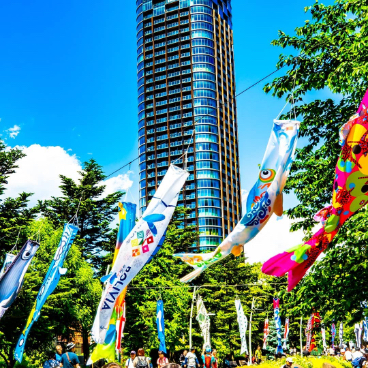 MIDPARK KOINOBORI COLLECTION