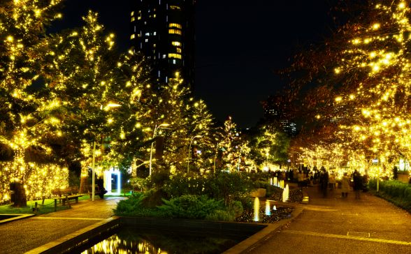 Promenade of Lights