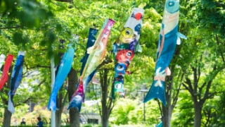 KOINOBORI GALLERY