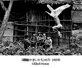 《鎌鼬(かまいたち) #17》　1965年 ©Eikoh Hosoe