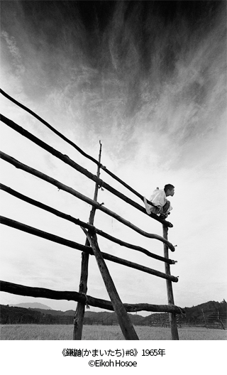 《鎌鼬(かまいたち) #8》　1965年 ©Eikoh Hosoe