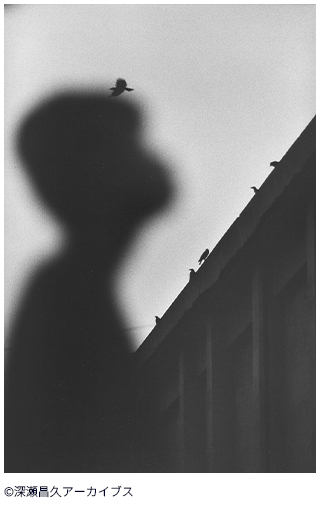 深瀬昌久写真展「洋子／遊戯」