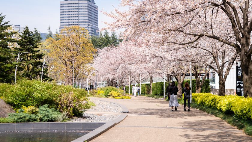 Spring Promenade