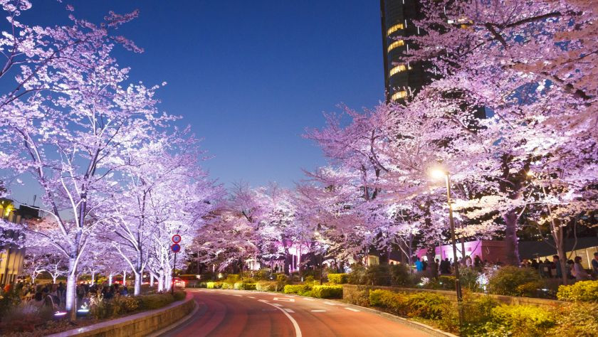 Spring Promenade