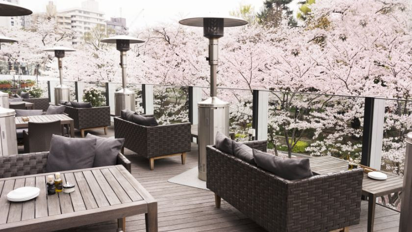 Restaurants with cherry blossom view