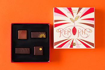 Collection 2026 [reBORN]