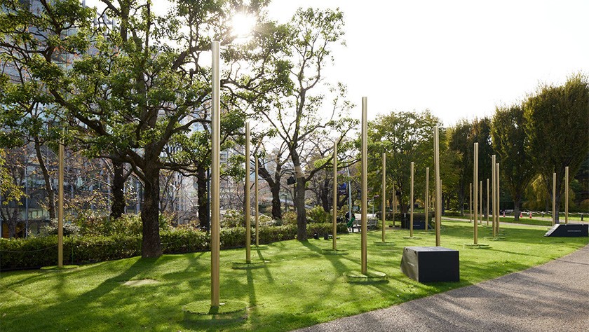 Golden trees radiating a sculpture-like beauty in the daytime