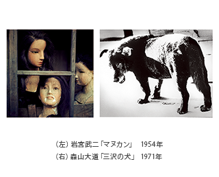 （左）岩宮武二「マヌカン」 1954年／（右）森山大道「三沢の犬」 1971年