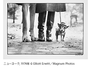 ニューヨーク, 1974年 © Elliott Erwitt / Magnum Photos