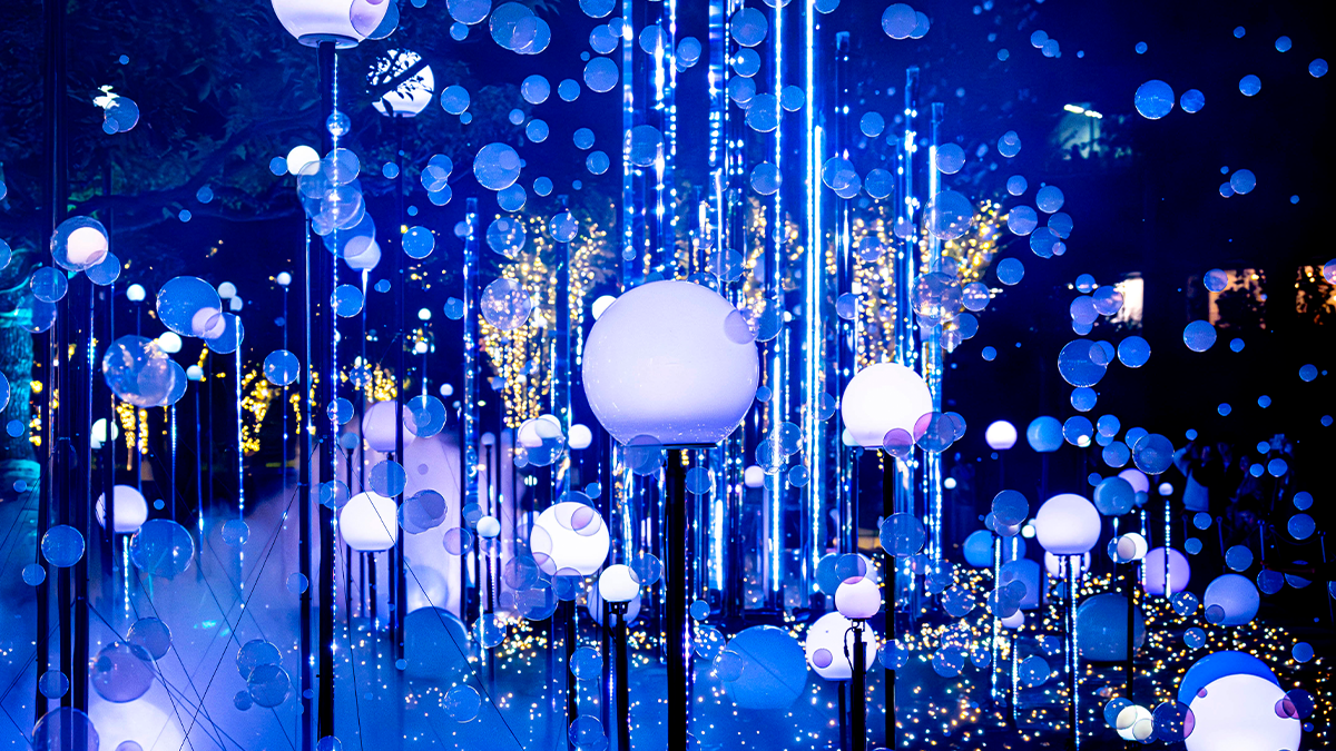 CHRISTMAS GARDEN LIGHTS